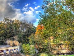 Image result for apple canyon chicago