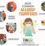 Image result for Common Allergies Symptoms