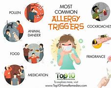 Image result for Allergy Symptoms