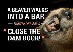 Image result for Walking into a Bar Jokes