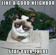 Image result for Grumpy Cat Tiger Meme