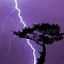 Image result for Verizon Ad Lightning Strikes Tree Reveals Phone