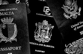 Image result for Maltese Passport