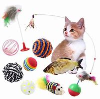 Image result for Pet Kit Cat Toys