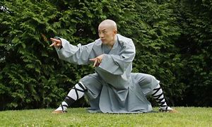 Image result for 5 Animal Kung Fu Forms