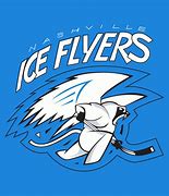 Image result for Nashville Ice Flyers Hockey Puck