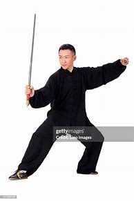 Image result for Chinese Martial Artist