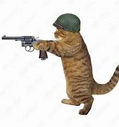 Image result for Cat Shooting Gun