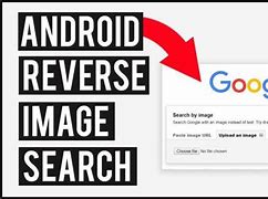 Image result for Google Reverse Image Search Catfish