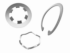 Image result for 16600 Retaining Ring