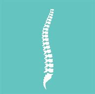 Image result for Spine Vector
