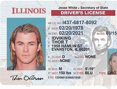 Image result for Chicago Drivers License