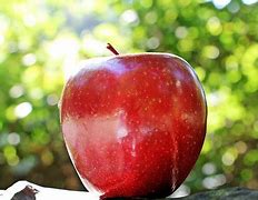 Image result for Why Is There an Egg On the Top of My Apple
