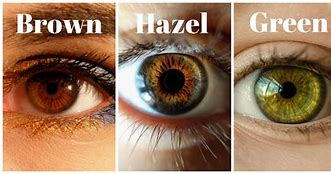 Image result for Pics of Hazel Eyes
