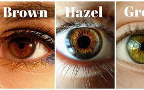 Image result for Best Hair Color for Hazel Green Eyes