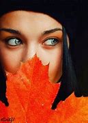 Image result for Microsoft Free Screensavers Fall
