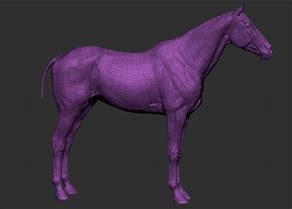 Image result for Thoroughbred Horse Colors