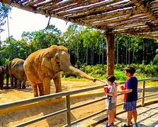 Image result for Largest Zoo in the World