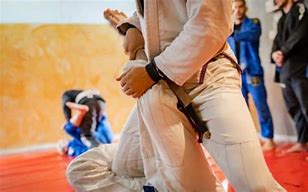 Image result for Beginnings of Jiu Jitsu