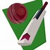 Image result for Transparent Cartoon Cricket