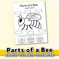 Image result for Bee Worksheet