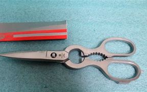 Image result for Wusthof Scissors