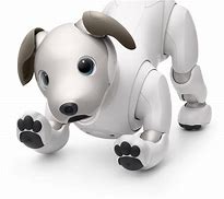 Image result for Aibo Touch