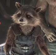 Image result for Guardians Galaxy Rocket Clothes Folded