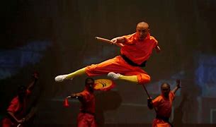 Image result for Kung Fu Moves