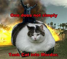 Image result for Romantic Cat Meme