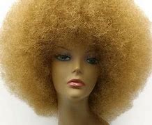 Image result for Bob Ross Afro Wig