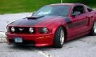 Image result for Ford Mustang Pro Stockers