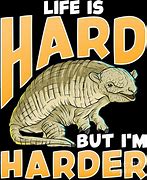 Image result for Armadillo Puns