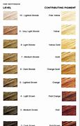 Image result for Hair Levels