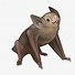 Image result for Evil Bat Wings
