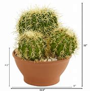 Image result for Outdoor Artificial Cactus Plants