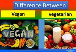 Image result for What Is the Difference Between Vegan and Veg