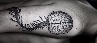 Image result for Human Brain Tattoo Drawing