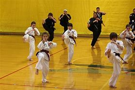 Image result for Karate Kyokushin Martial Arts