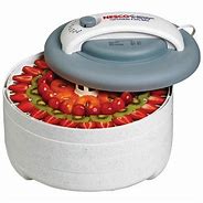 Image result for American Food Dehydrator