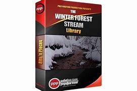Image result for Forest with Stream