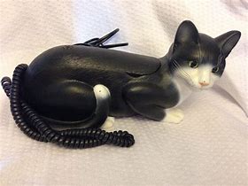 Image result for Black Cat Phone Pop Up