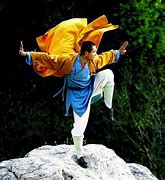 Image result for Shaolin Art