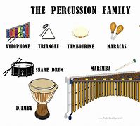 Image result for Orchestra Percussion Instruments List