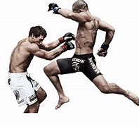 Image result for Best Martial Arts in MMA