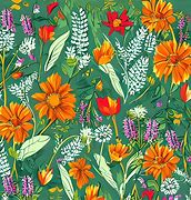 Image result for Wild Flowers Graphic