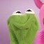 Image result for Kermit Scrunch Face