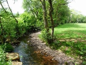 Image result for Afon Honddu Powys