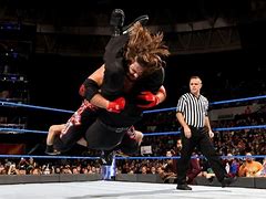 Image result for WWE Moves List