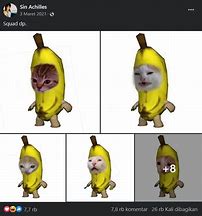 Image result for Banana Cat Temu